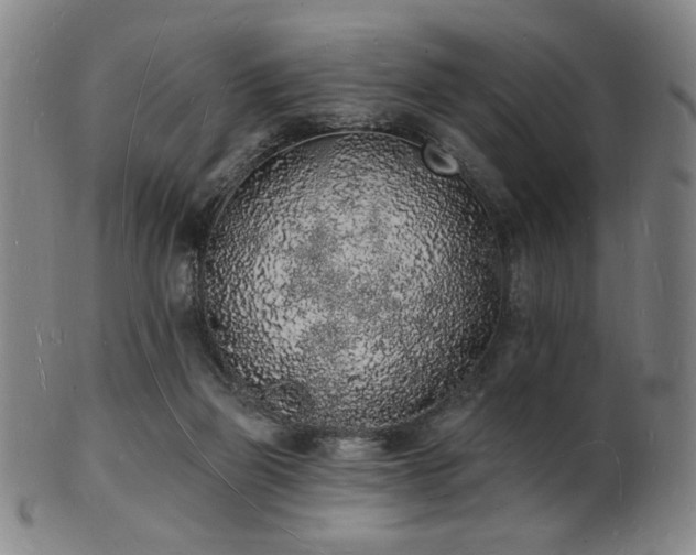 X0000101690165200807101521