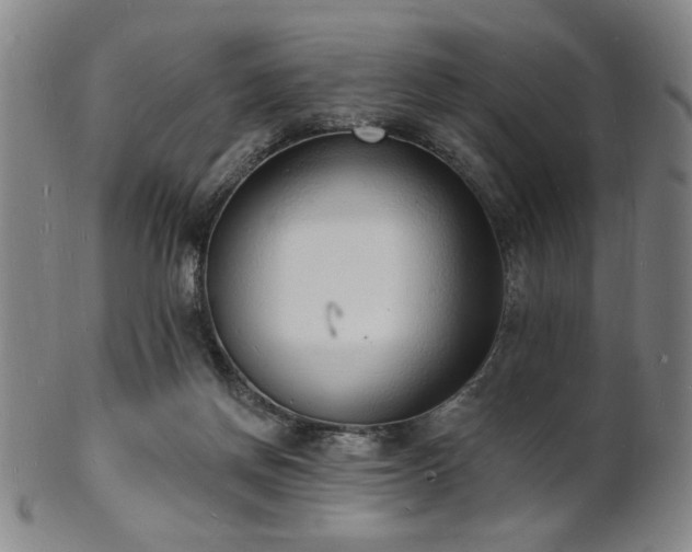 X0000101690166200807101521