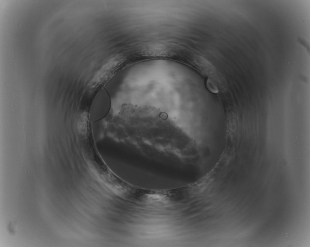 X0000101690167200807101521