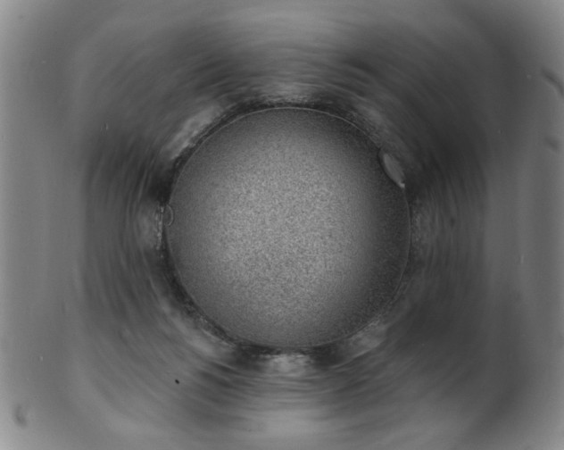 X0000101690168200807101521