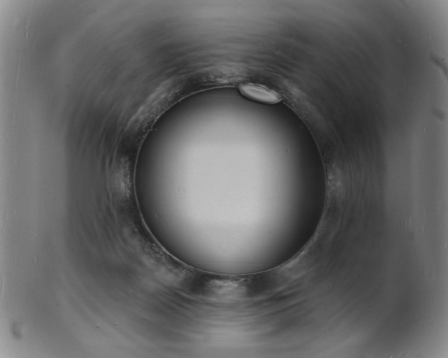 X0000101690170200807101521