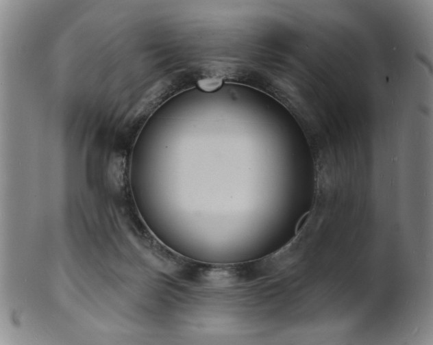 X0000101690171200807101521