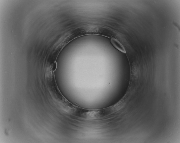 X0000101690172200807101521