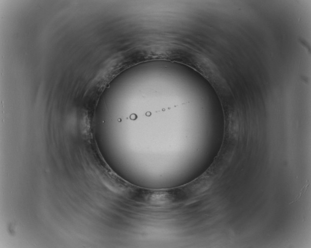 X0000101690173200807101522