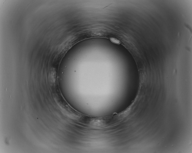 X0000101690174200807101522