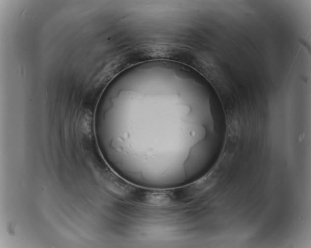 X0000101690175200807101522