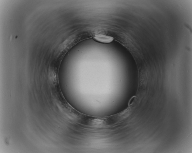 X0000101690176200807101522