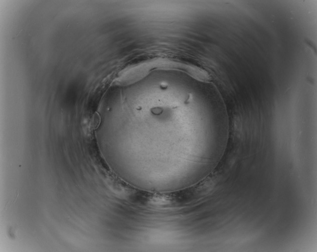 X0000101690177200807101522