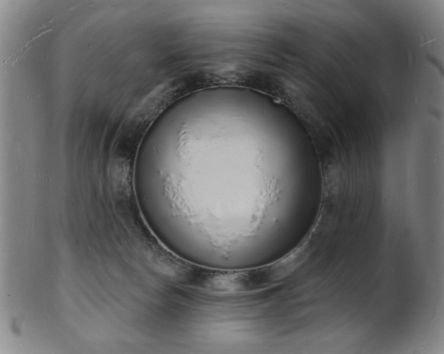 X0000101690178200807101522