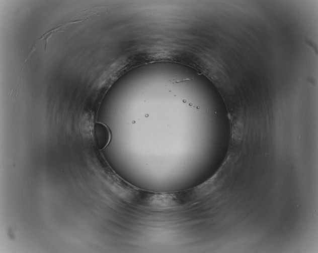 X0000101690179200807101522