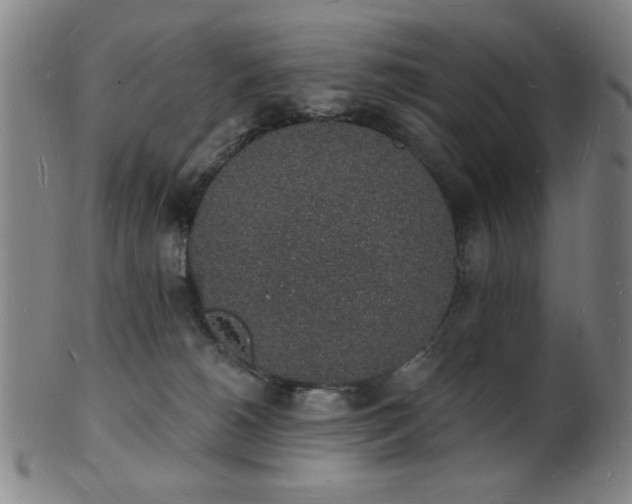 X0000101690180200807101522