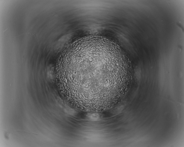 X0000101690181200807101522