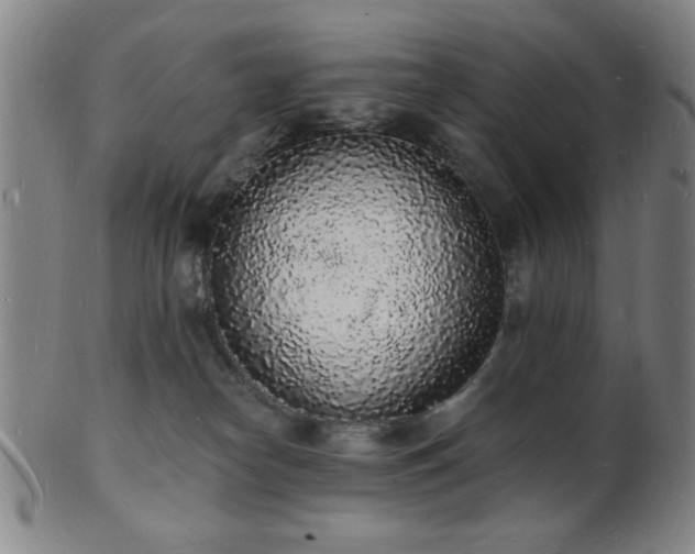 X0000101690182200807101522