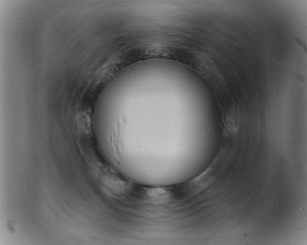 X0000101690183200807101522