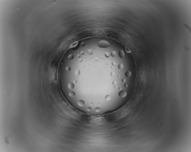 X0000101690185200807101522