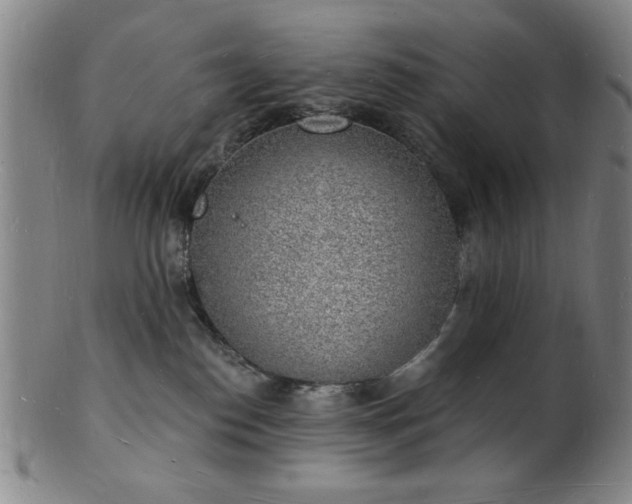 X0000101690186200807101522