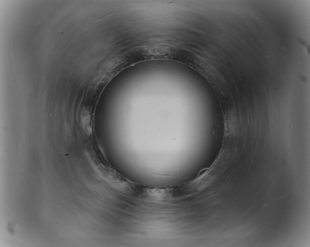 X0000101690187200807101522