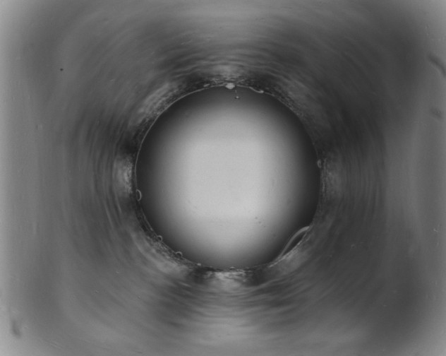 X0000101690188200807101522