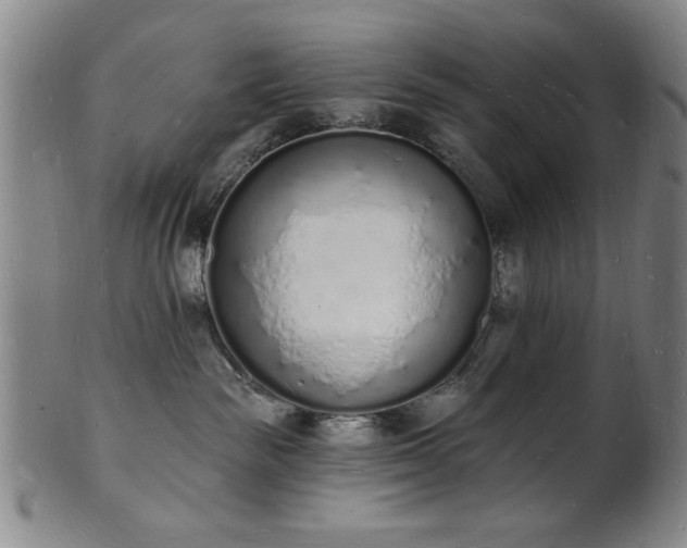 X0000101690189200807101522