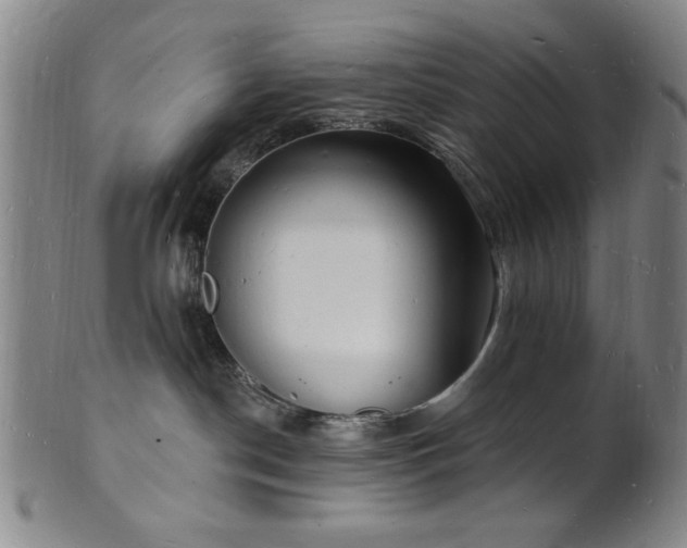 X0000101690190200807101522