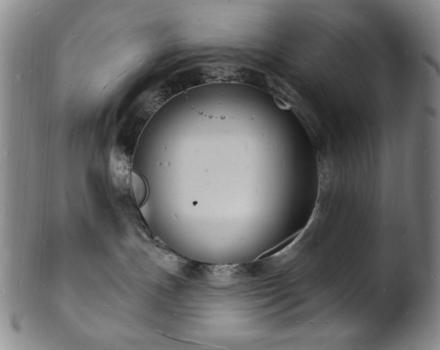 X0000101690191200807101522