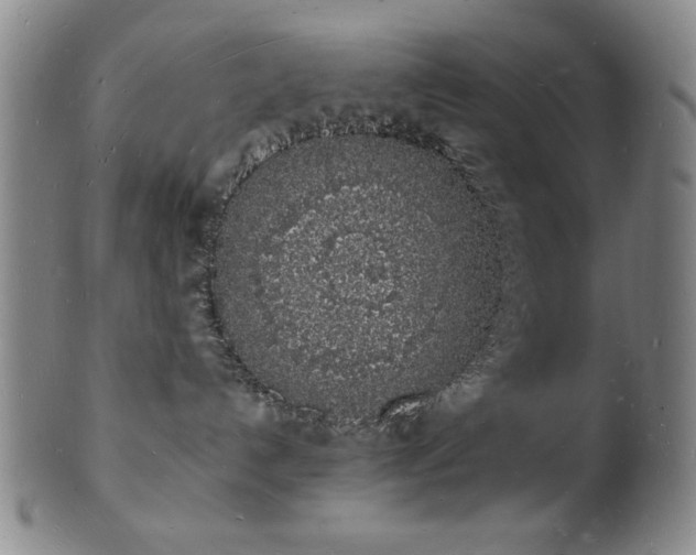 X0000101690192200807101522