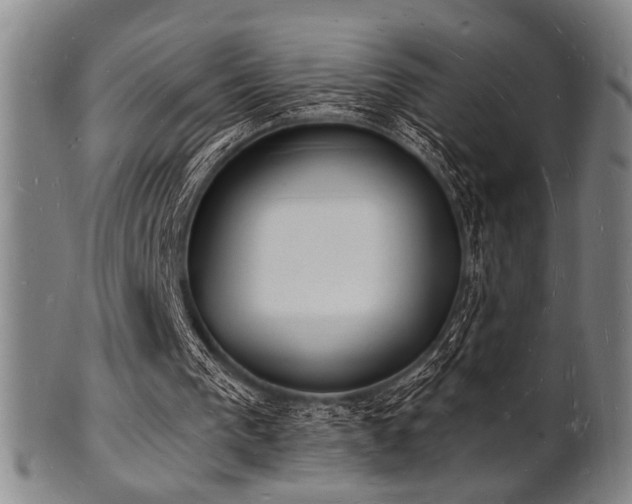 X0000101690193200807101521