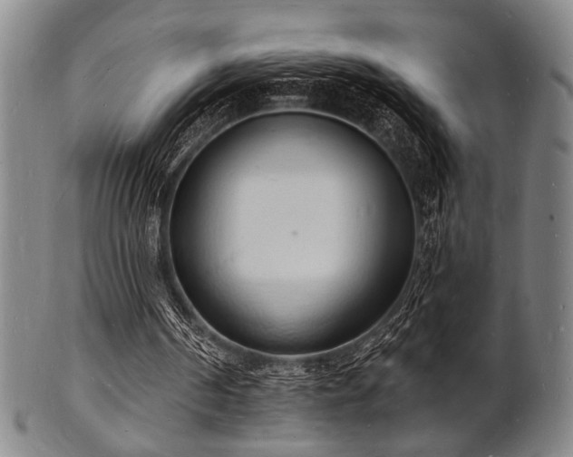 X0000101690194200807101521