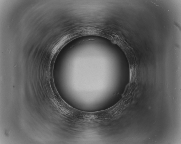 X0000101690195200807101521