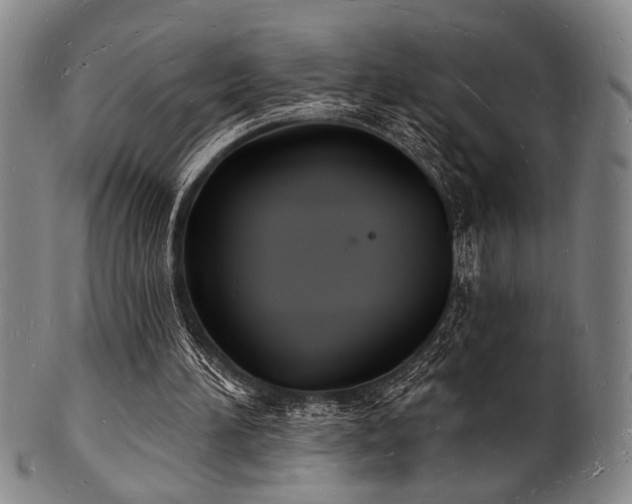 X0000101690196200807101521