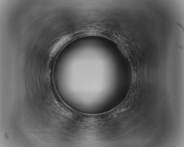 X0000101690197200807101521