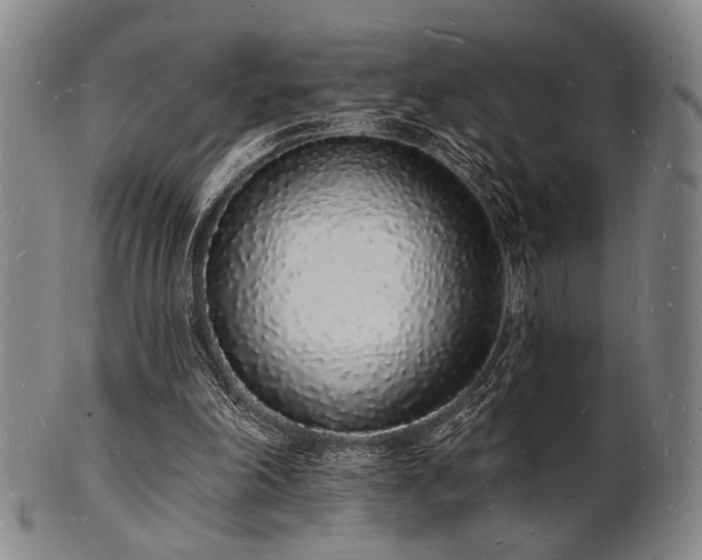 X0000101690198200807101521