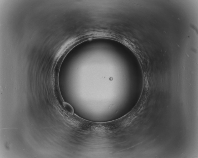 X0000101690199200807101521