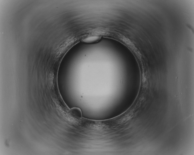 X0000101690201200807101521