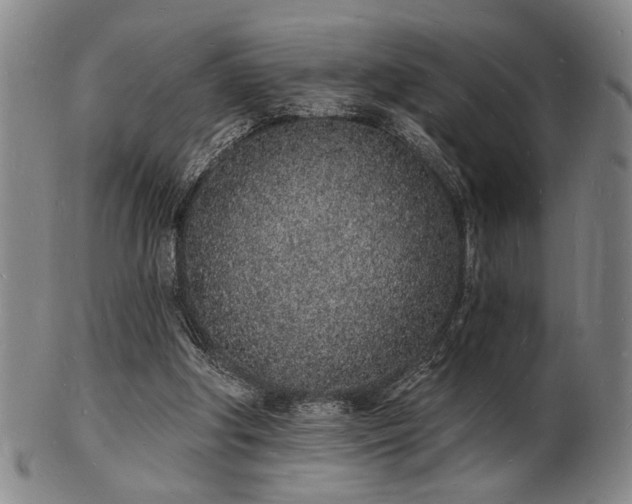 X0000101690202200807101521