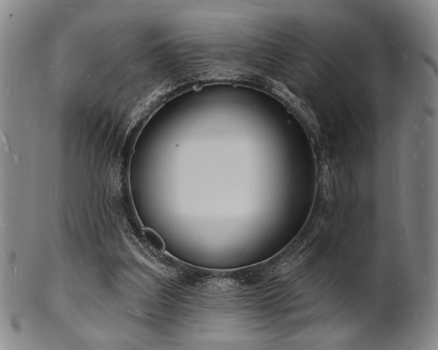 X0000101690203200807101521