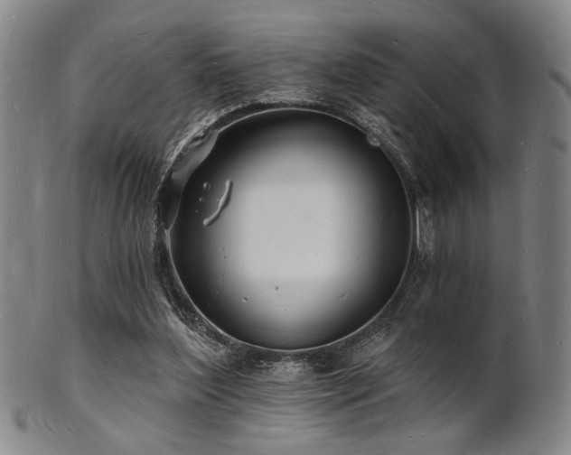 X0000101690204200807101521