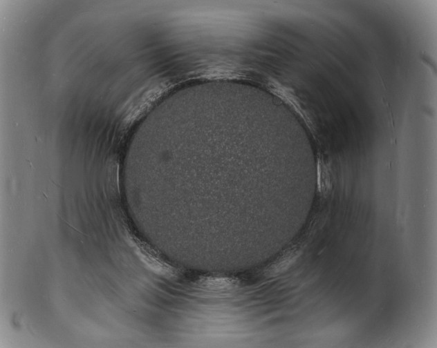 X0000101690205200807101521