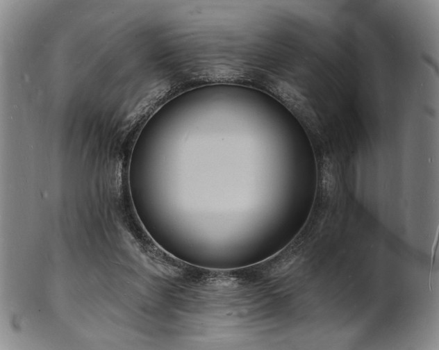 X0000101690206200807101521