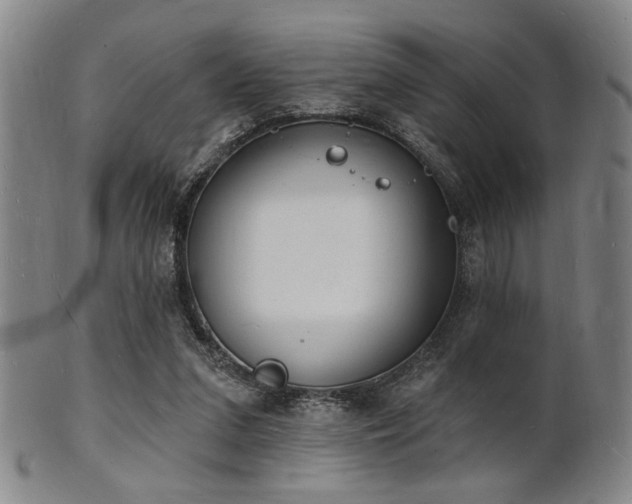 X0000101690207200807101521