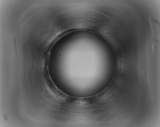 X0000101690208200807101521