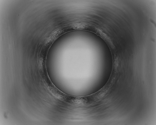 X0000101690209200807101521