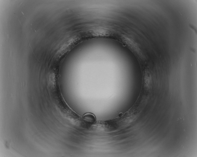 X0000101690211200807101521