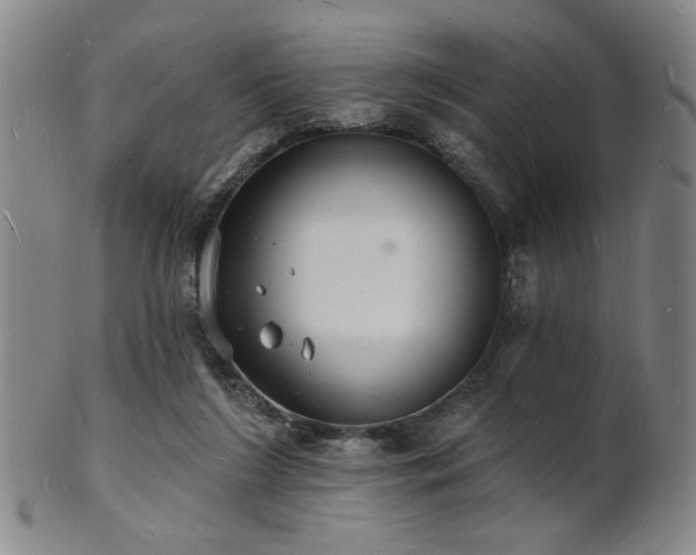 X0000101690212200807101521