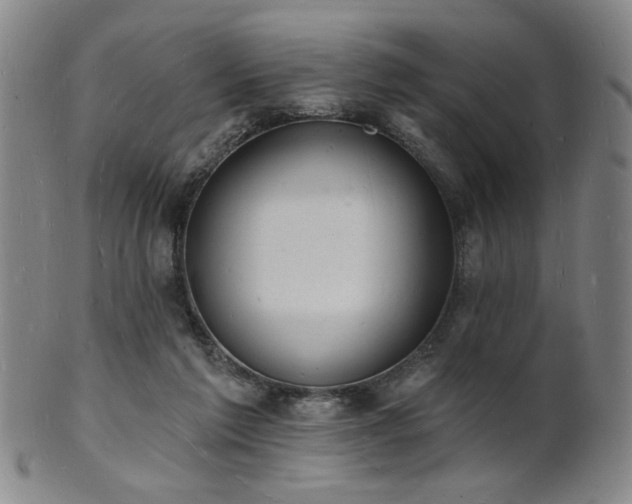 X0000101690213200807101521