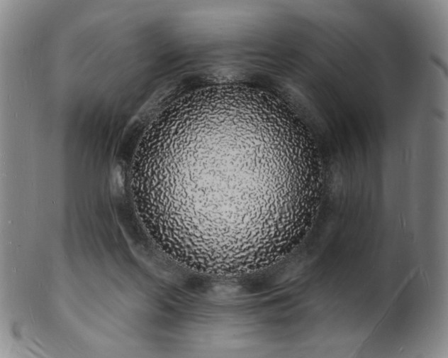 X0000101690214200807101521