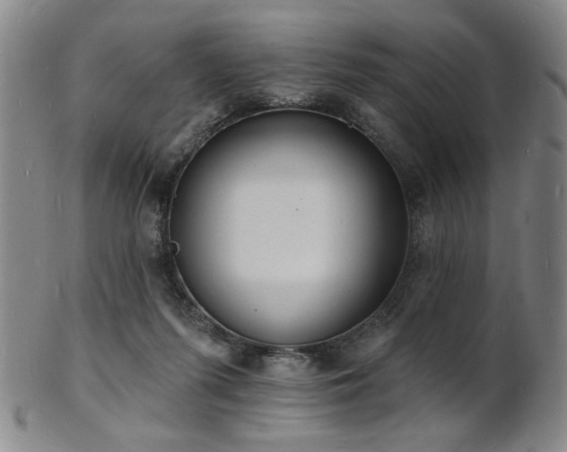 X0000101690215200807101521