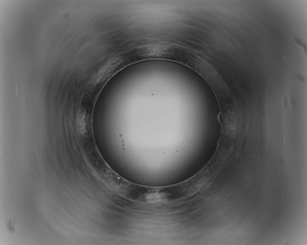 X0000101690216200807101521