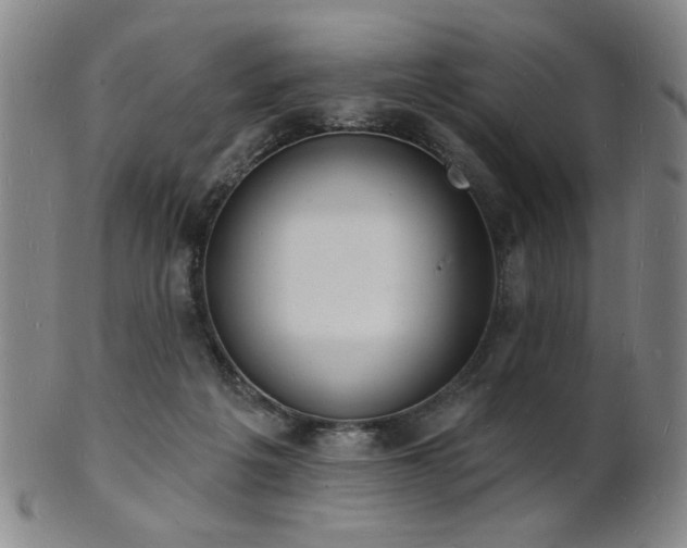 X0000101690217200807101521