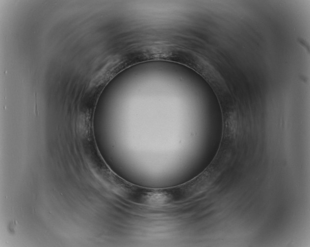 X0000101690218200807101521